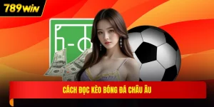 Cách đọc kèo bóng đá châu Âu